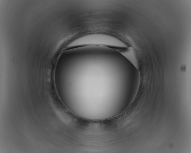 X0000092280543200709281247