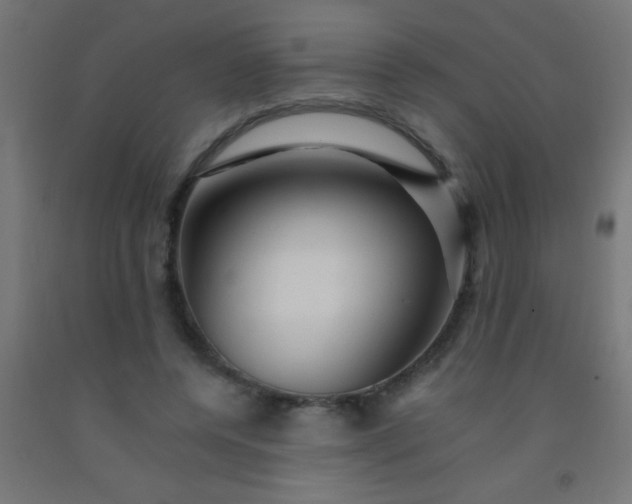 X0000092280544200709281247