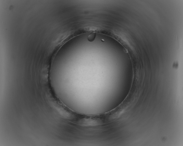 X0000092280545200709281247