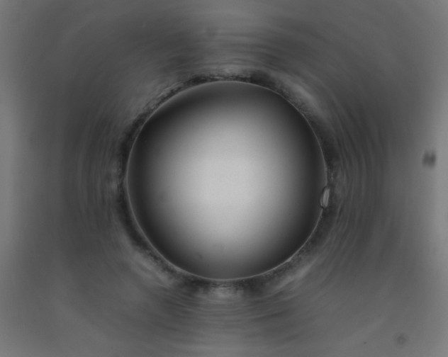 X0000092280546200709281247