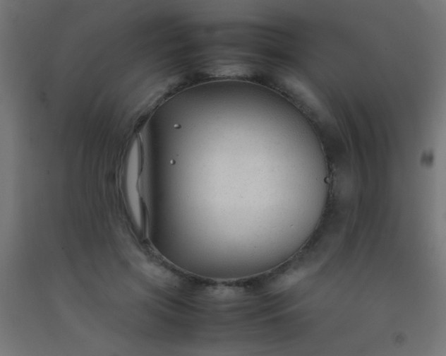 X0000092280549200709281247