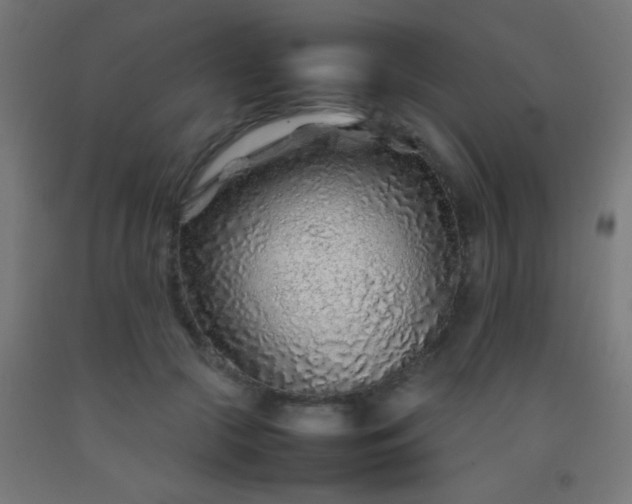 X0000092280553200709281247