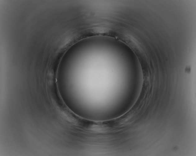 X0000092280556200709281248