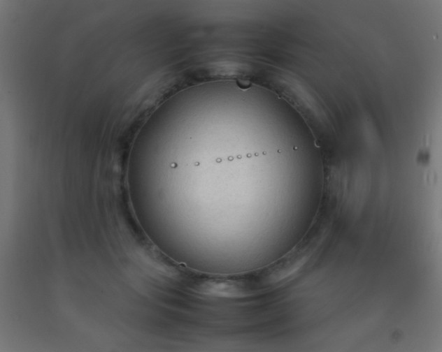 X0000092280557200709281248