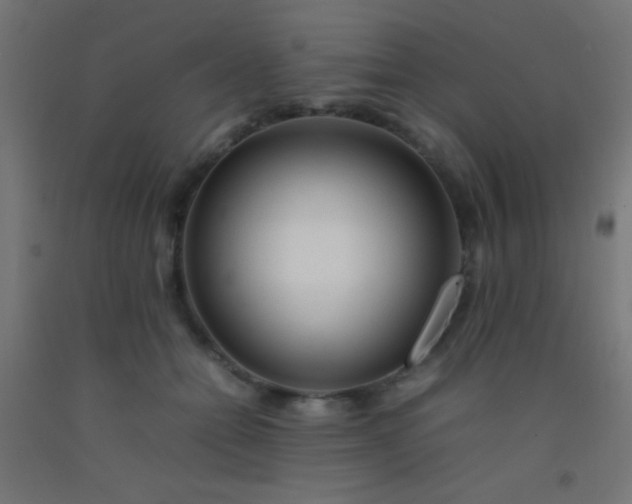 X0000092280558200709281248