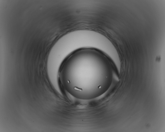 X0000092280560200709281248