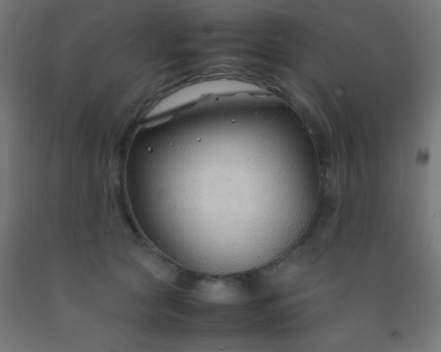 X0000092280561200709281248