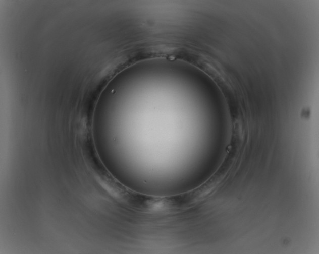 X0000092280564200709281248