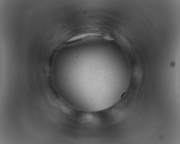 X0000092280565200709281248