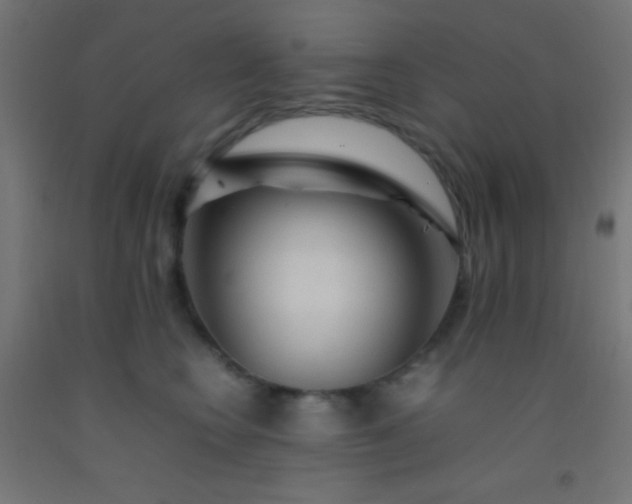 X0000092280566200709281248