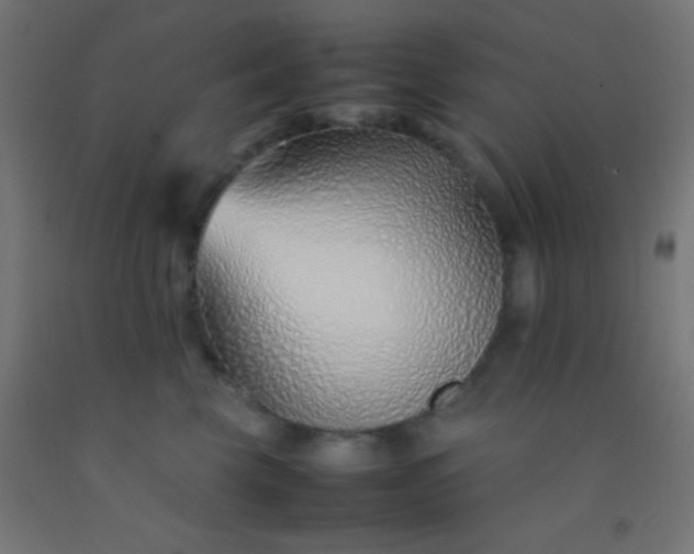 X0000092280569200709281248