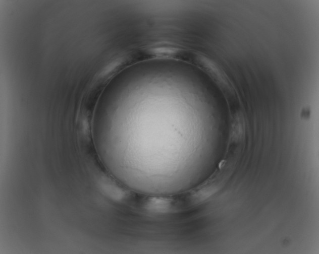 X0000092280573200709281248