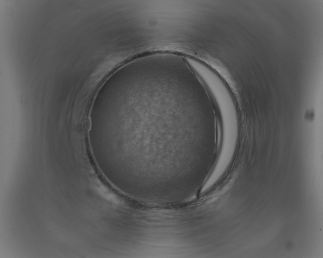 X0000092280577200709281247