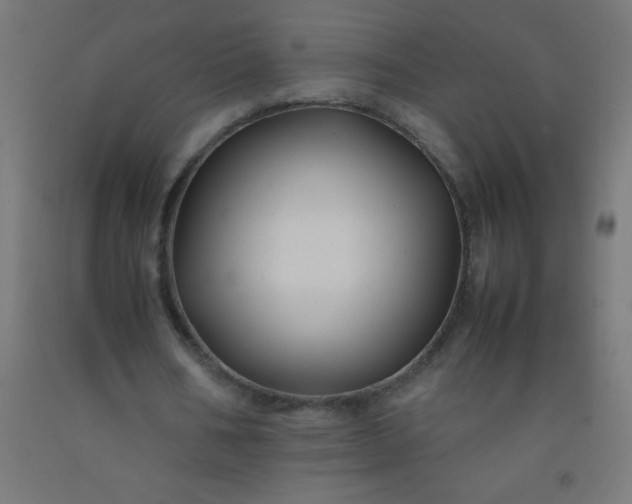 X0000092280578200709281247