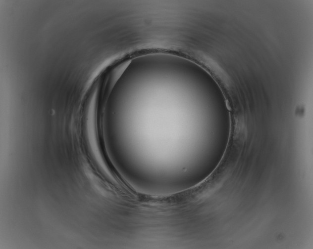 X0000092280580200709281247