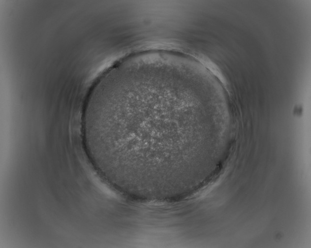 X0000092280581200709281247