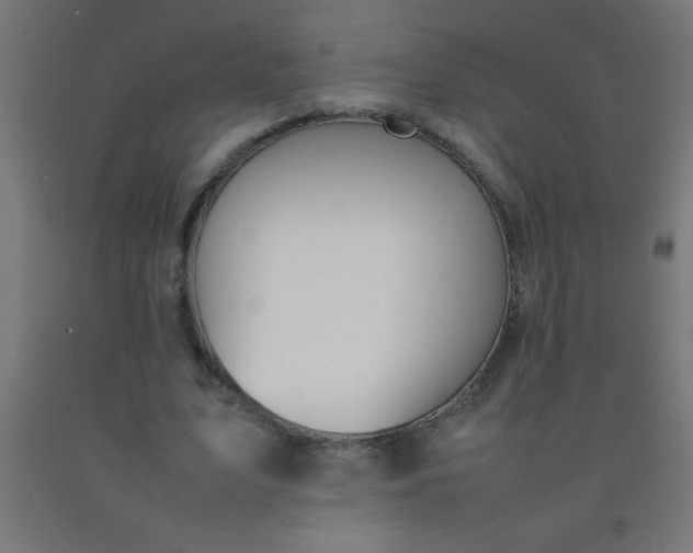 X0000092280583200709281247