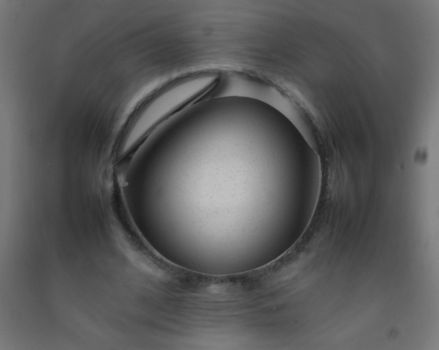 X0000092280584200709281247