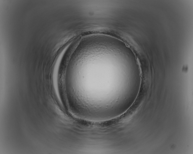 X0000092280585200709281247