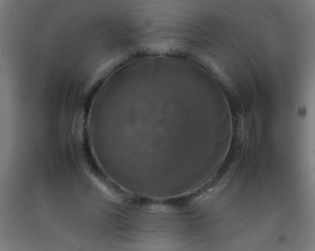 X0000092280590200709281247