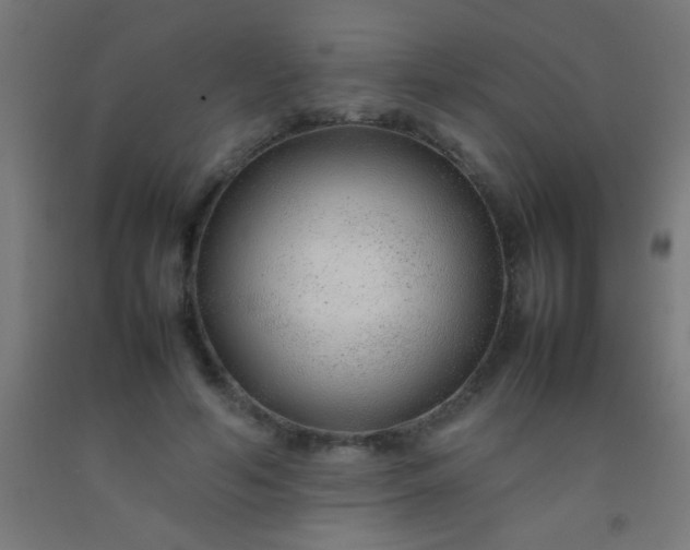 X0000092280594200709281247