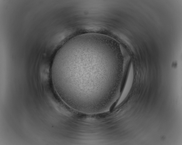 X0000092280596200709281247