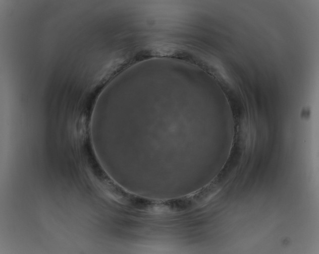 X0000092280598200709281247