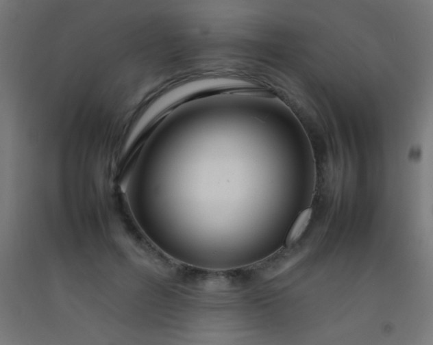 X0000092280600200709281247