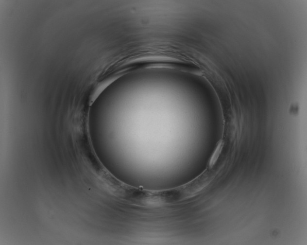 X0000092280604200709281247