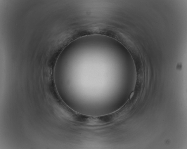 X0000092280605200709281247