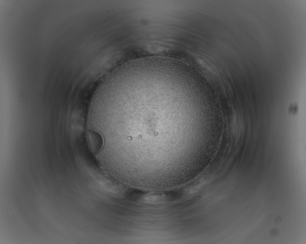 X0000092280606200709281247