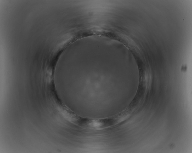 X0000092280610200709281247