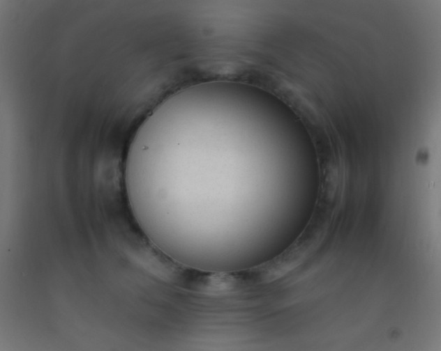 X0000092280612200709281247