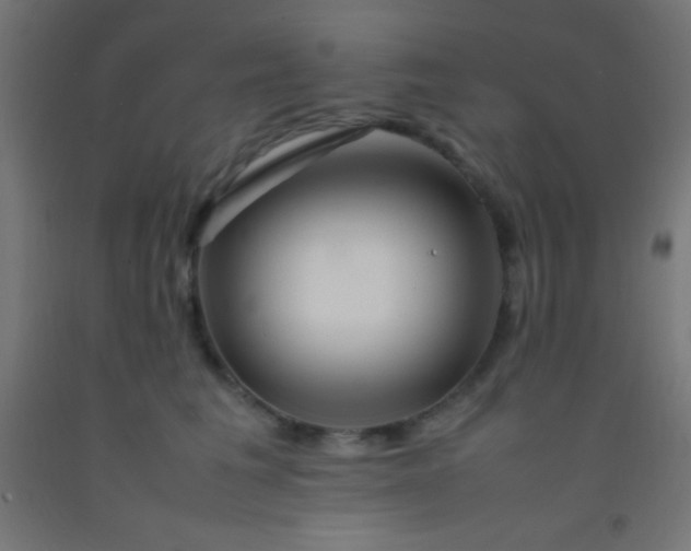 X0000092280613200709281247