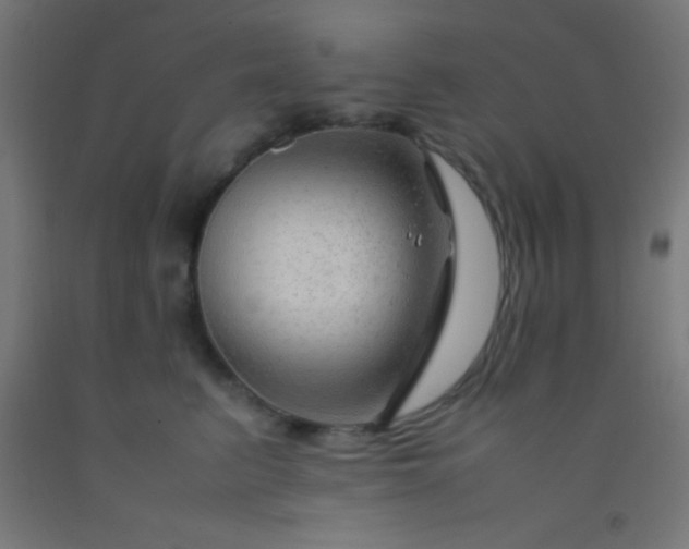 X0000092280615200709281247