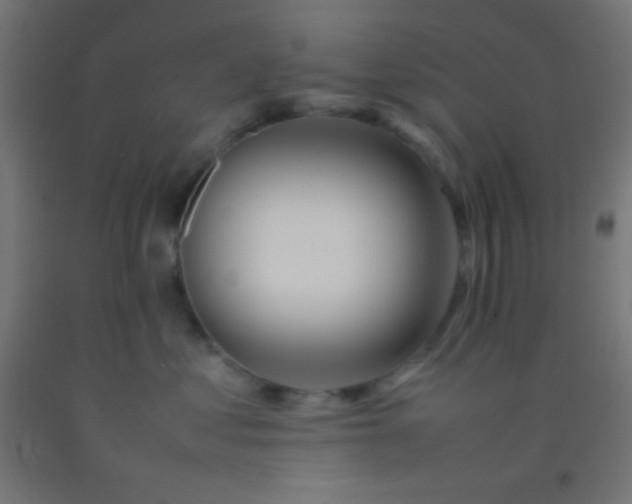 X0000092280621200709281247