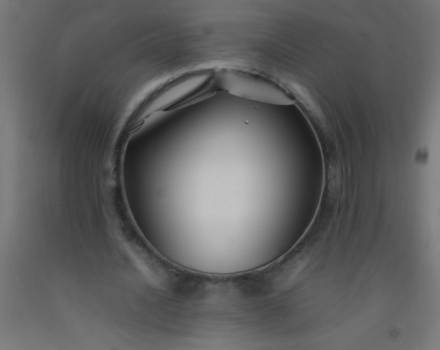 X0000092280628200709281246