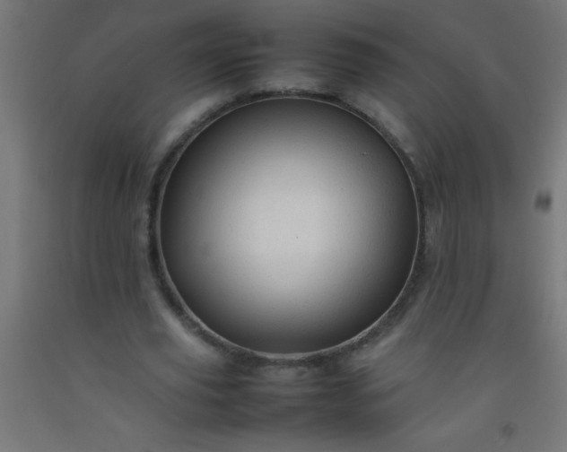 X0000092280629200709281246