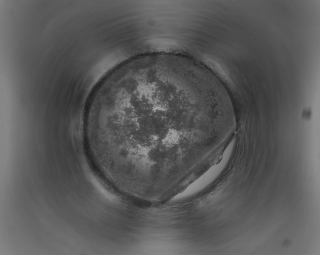 X0000092280630200709281246