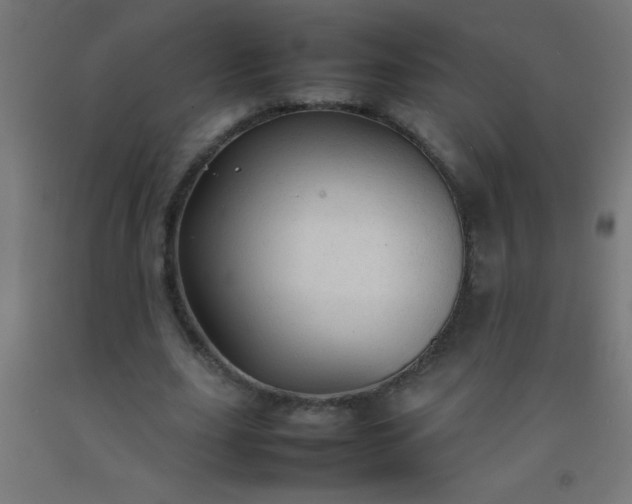 X0000092280631200709281246