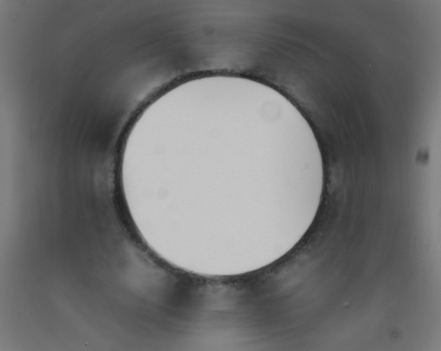 X0000092280632200709281246