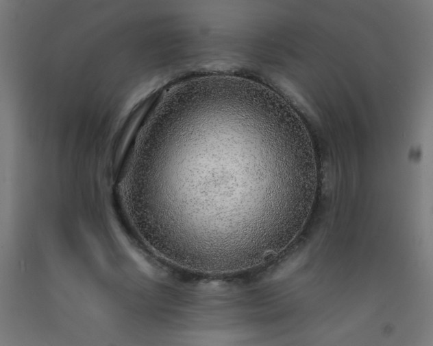 X0000092280634200709281246