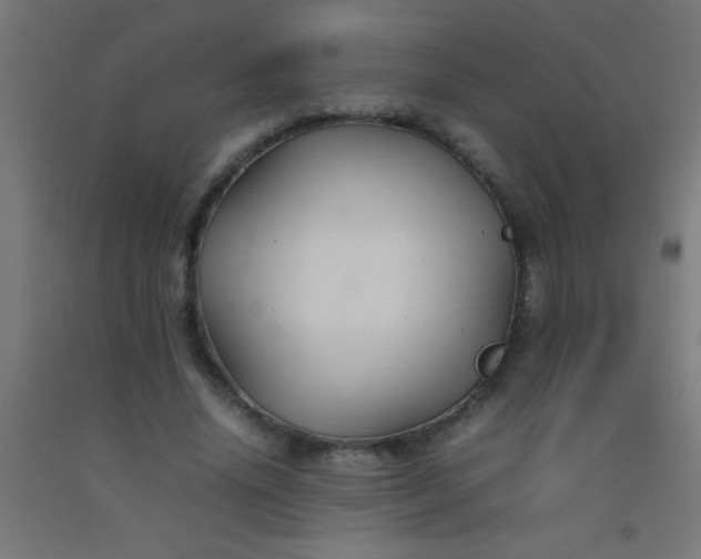 X0000092280636200709281246