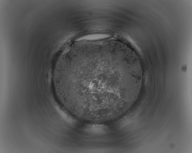 X0000092280637200709281246