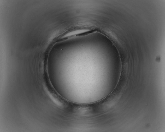 X0000092280638200709281246