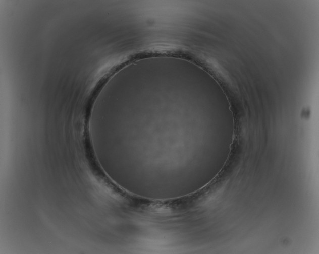 X0000092280640200709281246