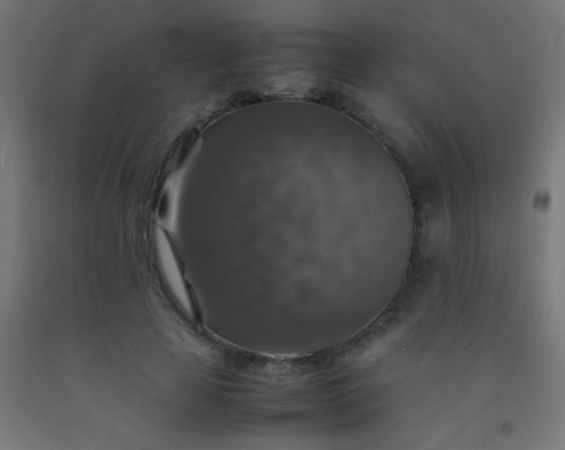 X0000092280641200709281246