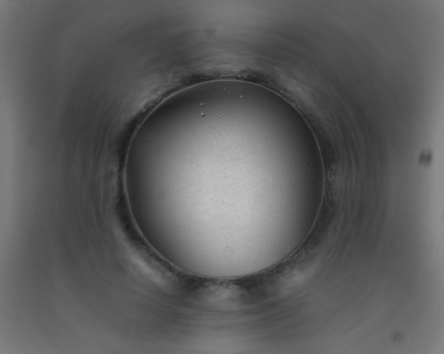 X0000092280642200709281246