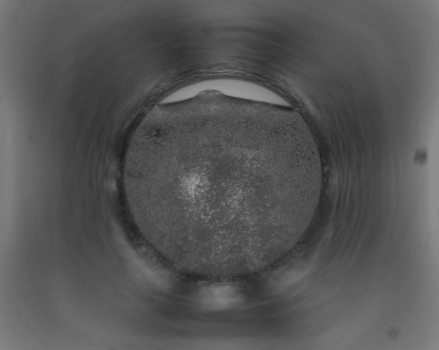 X0000092280643200709281246