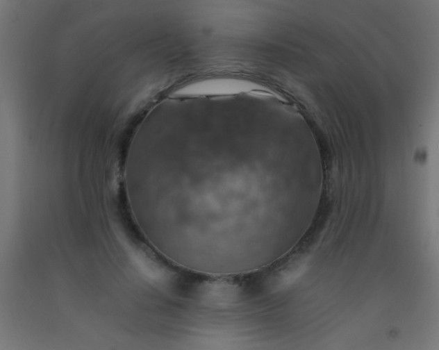 X0000092280644200709281246